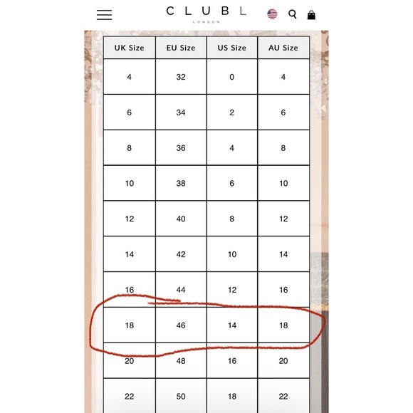 CLUB L BY ASOS BLACK LONG SLEVE ROSE EMBROIDERED SKATER DRESS US SIZE 14 - Picture 6 of 8